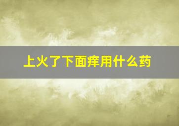 上火了下面痒用什么药