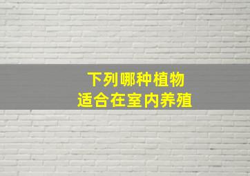 下列哪种植物适合在室内养殖