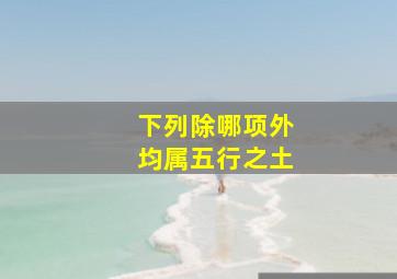 下列除哪项外均属五行之土