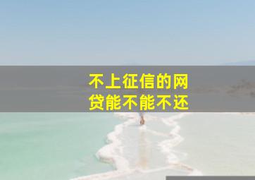 不上征信的网贷能不能不还