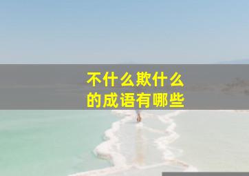 不什么欺什么的成语有哪些