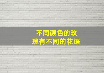 不同颜色的玫瑰有不同的花语