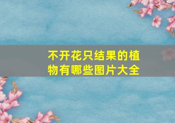 不开花只结果的植物有哪些图片大全