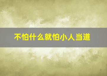 不怕什么就怕小人当道