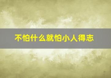 不怕什么就怕小人得志