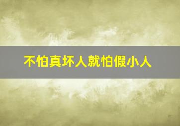 不怕真坏人就怕假小人