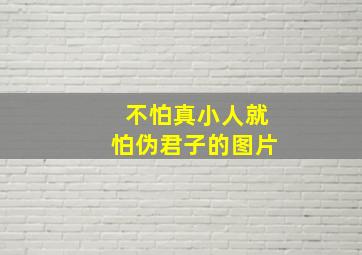 不怕真小人就怕伪君子的图片