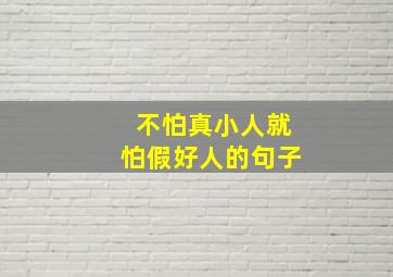 不怕真小人就怕假好人的句子