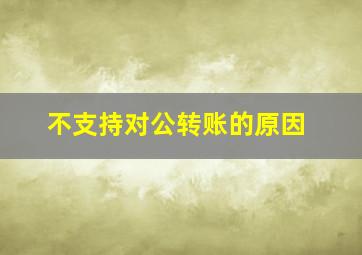 不支持对公转账的原因