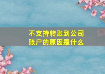 不支持转账到公司账户的原因是什么