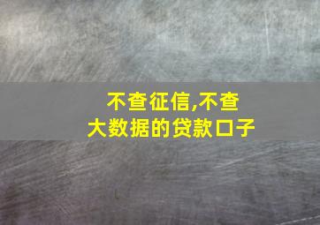 不查征信,不查大数据的贷款口子