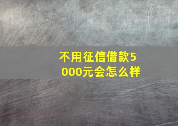 不用征信借款5000元会怎么样