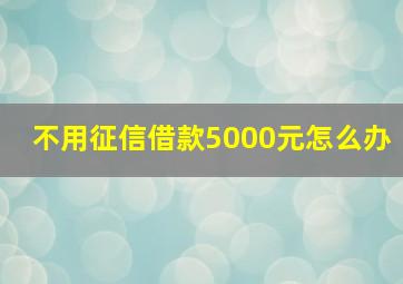 不用征信借款5000元怎么办