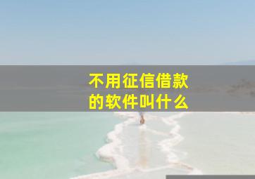 不用征信借款的软件叫什么