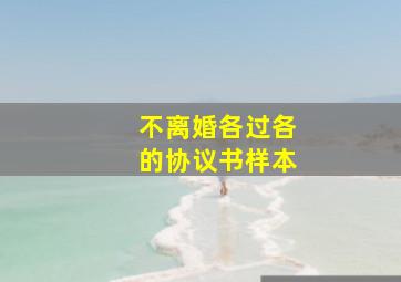 不离婚各过各的协议书样本