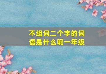 不组词二个字的词语是什么呢一年级