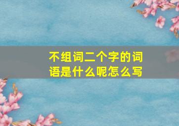 不组词二个字的词语是什么呢怎么写