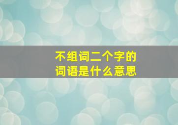 不组词二个字的词语是什么意思