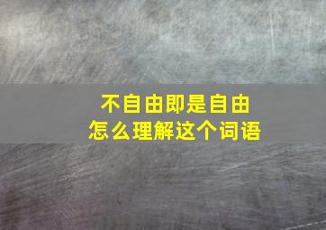 不自由即是自由怎么理解这个词语