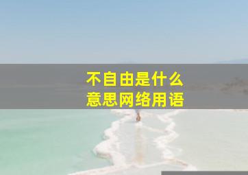 不自由是什么意思网络用语