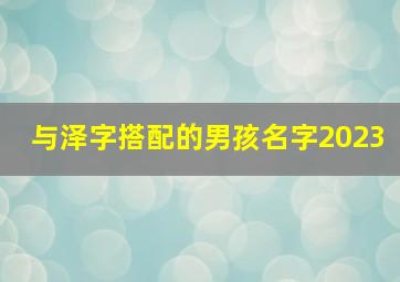 与泽字搭配的男孩名字2023