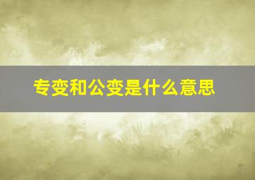 专变和公变是什么意思