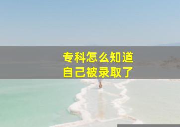 专科怎么知道自己被录取了