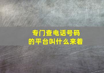 专门查电话号码的平台叫什么来着