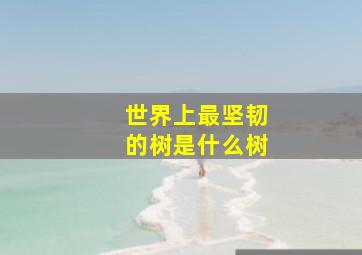 世界上最坚韧的树是什么树