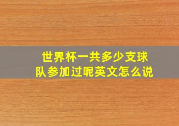 世界杯一共多少支球队参加过呢英文怎么说