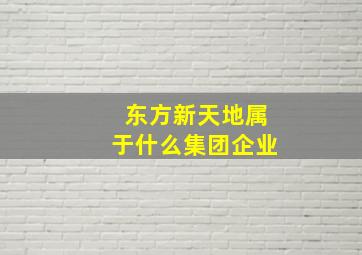 东方新天地属于什么集团企业