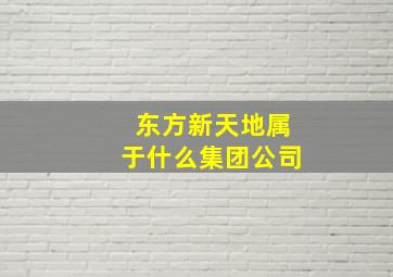 东方新天地属于什么集团公司