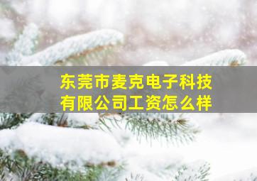 东莞市麦克电子科技有限公司工资怎么样