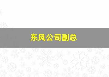 东风公司副总