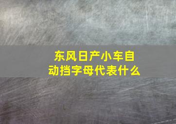 东风日产小车自动挡字母代表什么