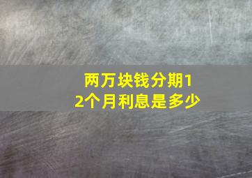 两万块钱分期12个月利息是多少