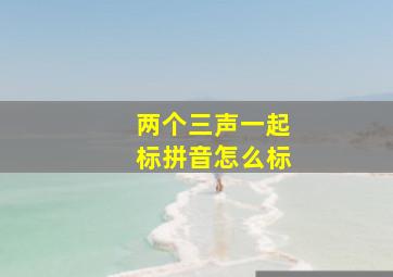 两个三声一起标拼音怎么标