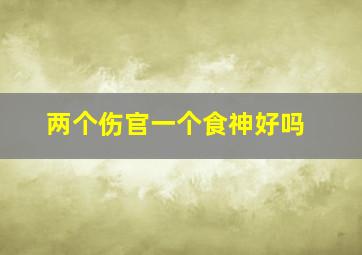 两个伤官一个食神好吗