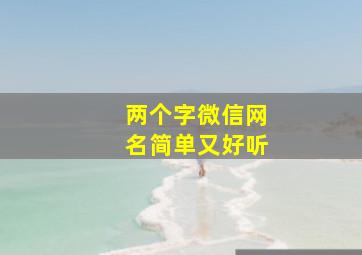 两个字微信网名简单又好听