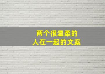 两个很温柔的人在一起的文案