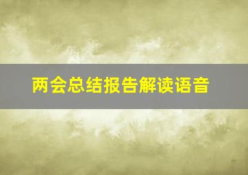 两会总结报告解读语音