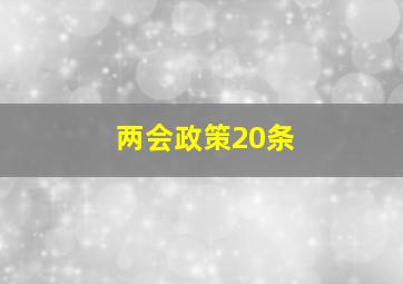 两会政策20条