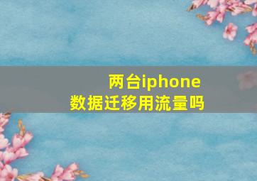 两台iphone数据迁移用流量吗