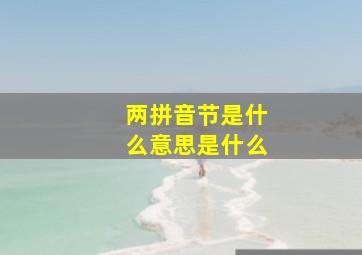 两拼音节是什么意思是什么