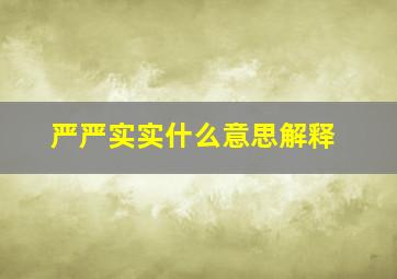 严严实实什么意思解释