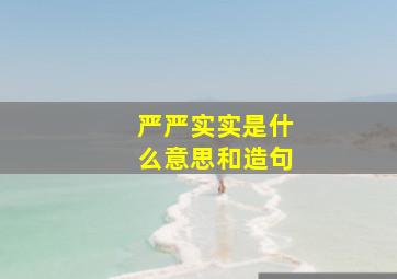 严严实实是什么意思和造句