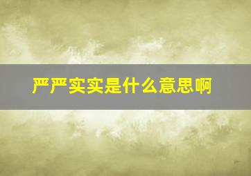 严严实实是什么意思啊