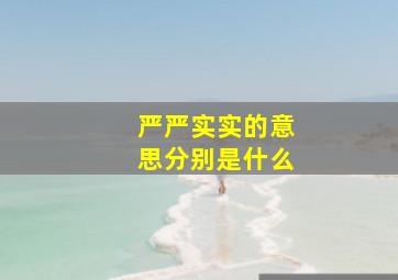 严严实实的意思分别是什么