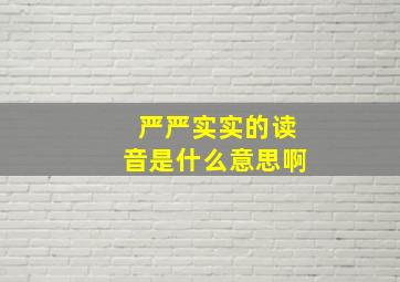 严严实实的读音是什么意思啊