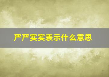 严严实实表示什么意思